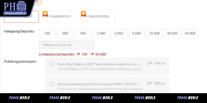 Sunud-sunod na Gabay sa Pag-deposito