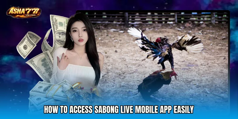 How to Access Sabong Live mobile app Easily