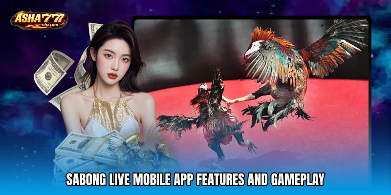 Sabong Live mobile app Features and Gameplay