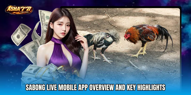 Sabong Live mobile app Overview and Key Highlights