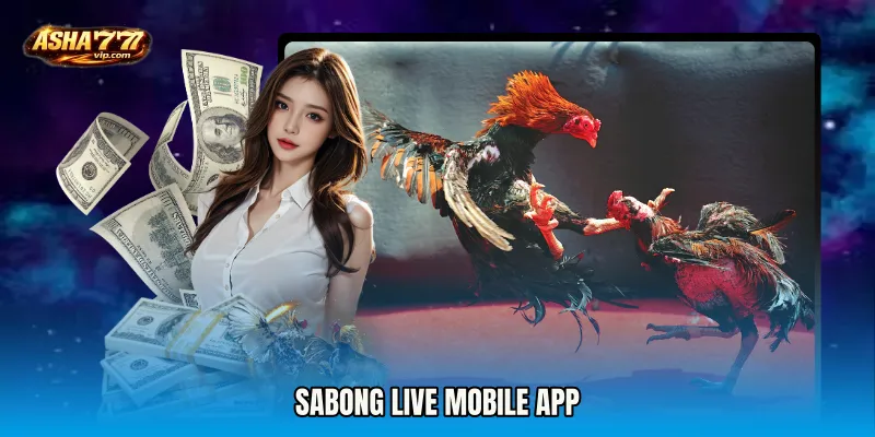 Sabong Live mobile app