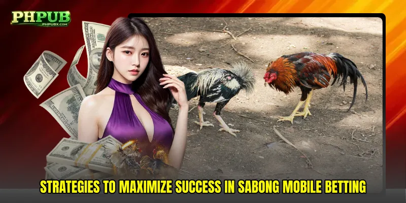 Strategies to maximize success in Sabong mobile betting